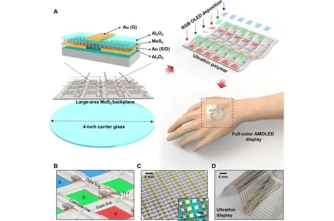 Active Matrix Organic Light-Emitting Diode : 有源矩阵有机发光二极管