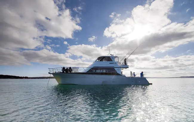 Australian Sea Fisheries Group : 澳大利亚海洋渔业集团