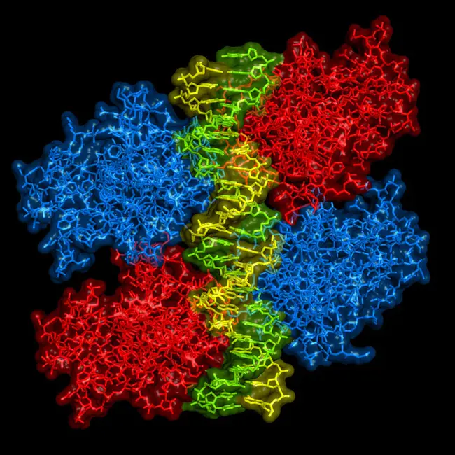 Protein-Bound Iodine : 蛋白结合碘