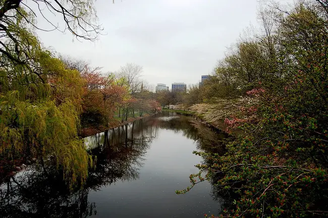 Charles River (Boston) : 查尔斯河（波士顿）