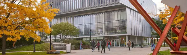 York Early College Academy : 约克早期学院