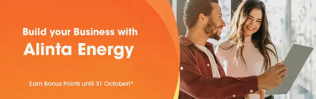 Alinta Energy Group : 阿林塔能源集团