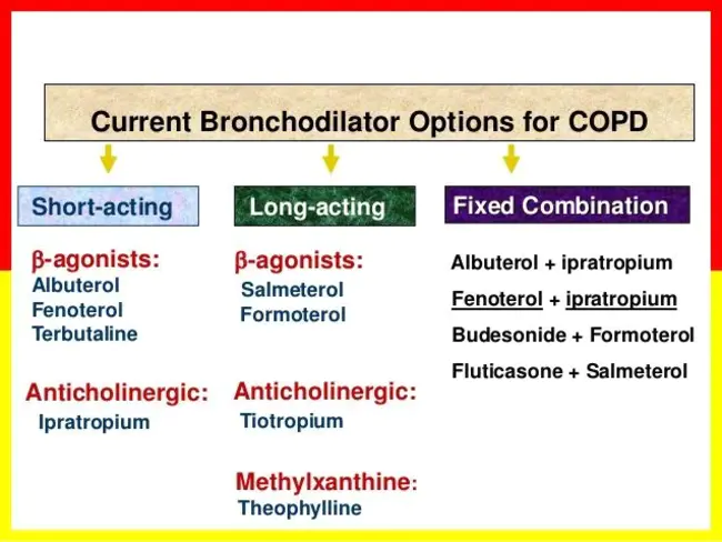 Long-Acting Beta-Agonists : 长效β激动剂