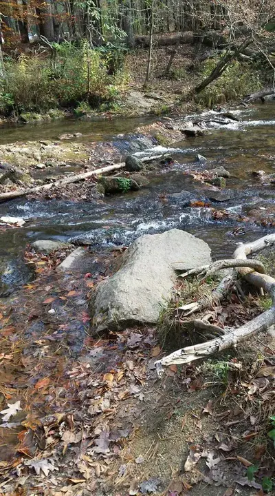 Cades Cove Preservation Association : 卡德斯湾保护协会