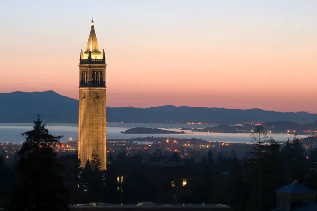 Berkeley Student Food Collective : 伯克利学生食品集体