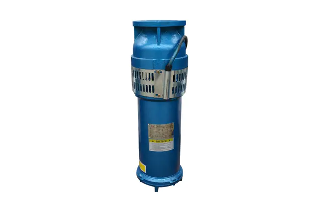 Electric Submersible Pump : 潜油电泵
