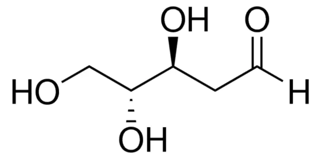 Deoxyribose Nucleic Acid : 脱氧核糖核酸