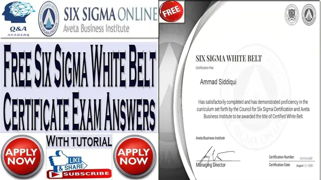 Certified Six Sigma Black Belt : 注册六西格玛黑带