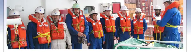 Maritime Safety and Security Team : 海上安全保卫队