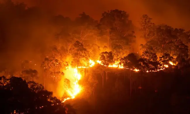 Bushfire Attack Level : 丛林火攻击等级