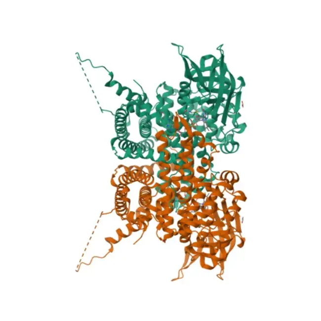 Very long-chain acyl-CoA dehydrogenase deficiency : 极长链酰基辅酶A脱氢酶缺乏症