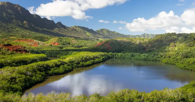 Lihue Missionary Church : 利互也传教会