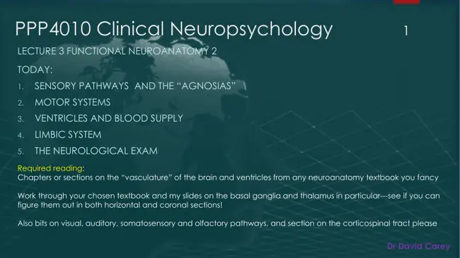Functional Neurological Disorder : 功能性神经障碍