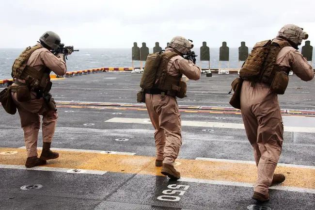 Marine Security Force Battalion : 海军安全部队营