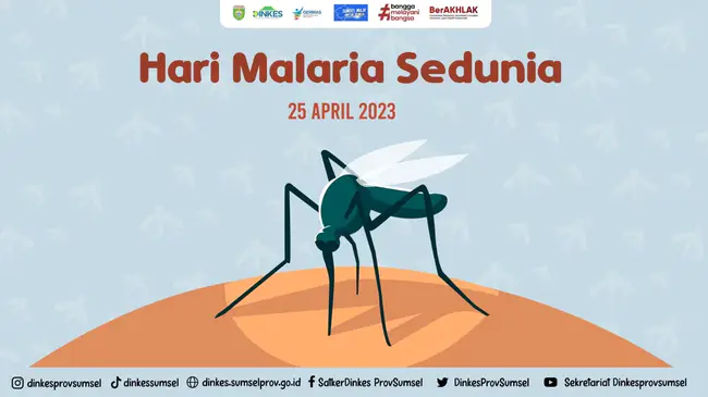 World Malaria Day : 世界疟疾日