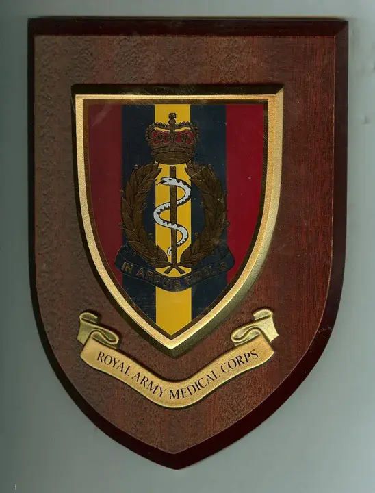 Royal Army Medical Corps : 皇家陆军医疗队