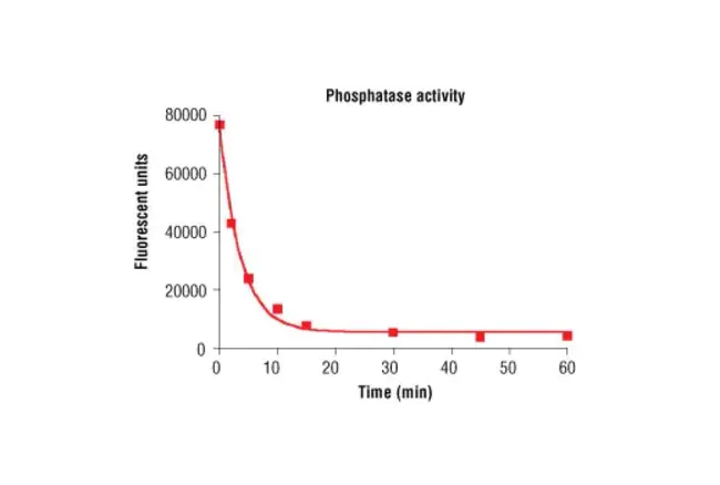 phosphodiesterase type 5 : 磷酸二酯酶5型