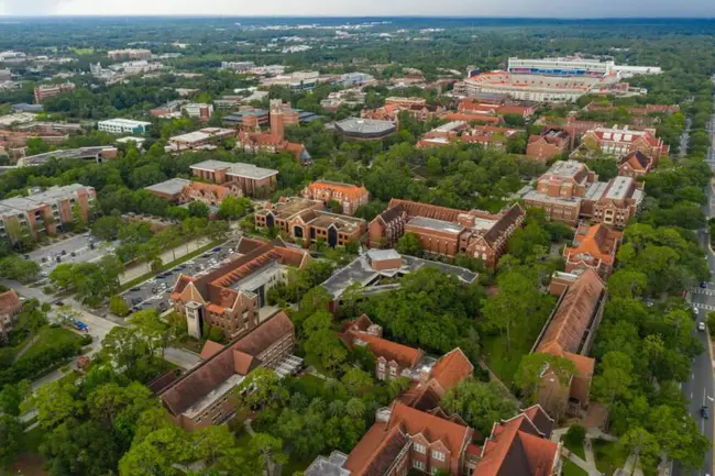 State College of Florida : 佛罗里达州立学院