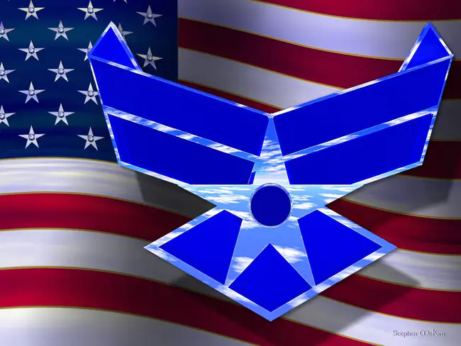 USAF : 美国空军