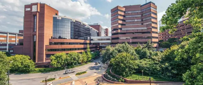 Vanderbilt University School of Medicine : 范德比尔特大学医学院