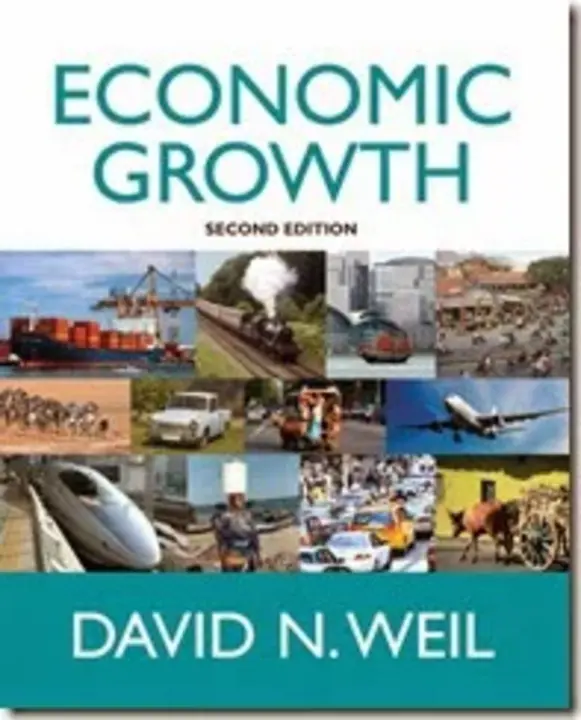 Sustainable Growth Rate : 可持续增长率