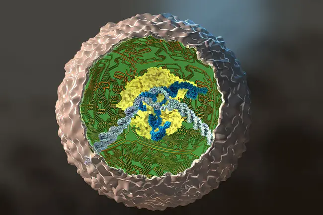 Human induced pluripotent stem cells : 人诱导多能干细胞