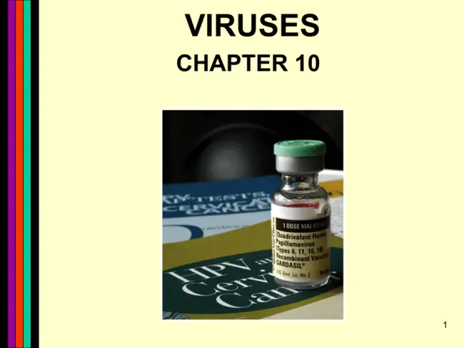 susceptible → exposed → infectious → recovered : 易感→暴露→感染→恢复