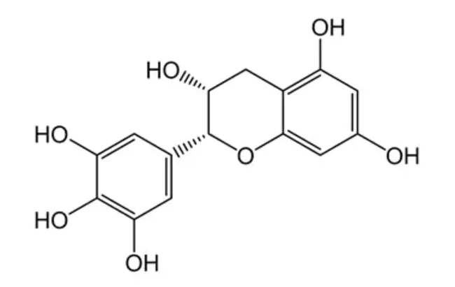 epigallocatechin gallate : 表没食子儿茶素没食子酸酯