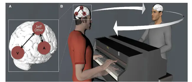 Perception-Action Mechanism : 知觉作用机制