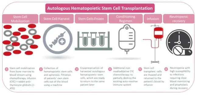 Autologous Normovolumic Hemodilution : 自体等容血液稀释