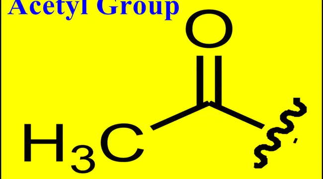 acetyl : 乙酰基