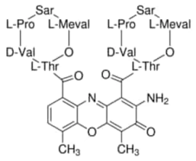 actinomycin D : 放线菌素D