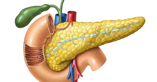 Acute Haemorrhagic Pancreatitis : 急性出血性胰腺炎