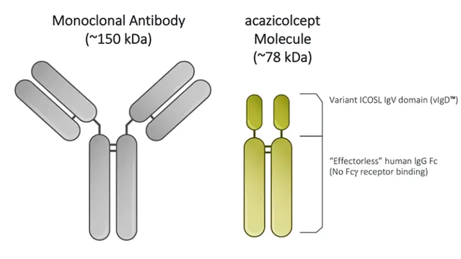 acycloguanosine–antiviral : acycologuanosine–抗病毒