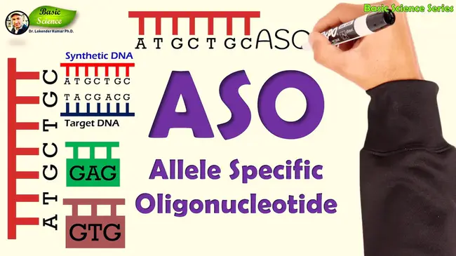 Allele-Specific oligonucleotide : 等位基因特异性寡核苷酸