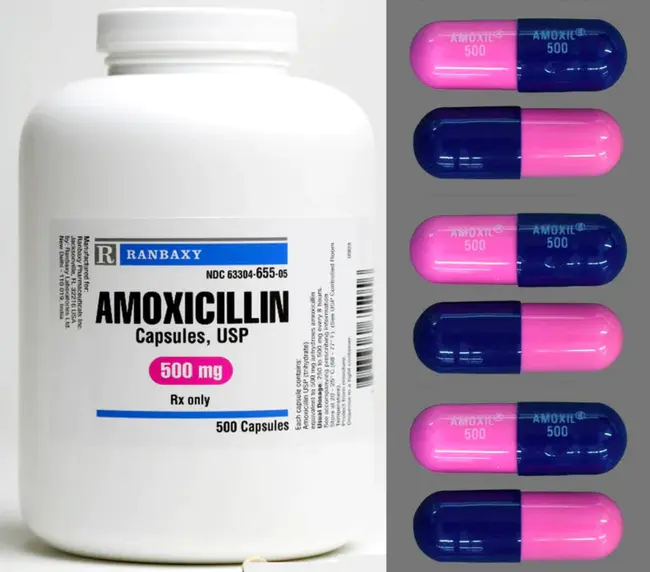 amoxicillin : 阿莫西林