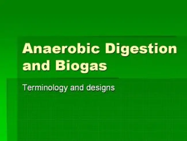 Anaerobic Digestion : 厌氧消化