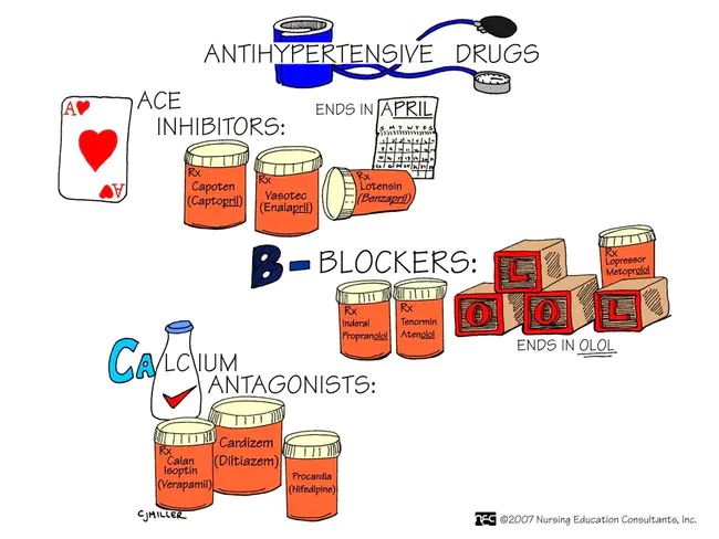 Anti-Diuretic Activity : 抗利尿活性