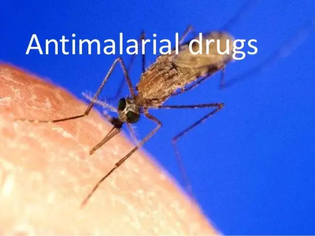 antimalarial : 抗疟药