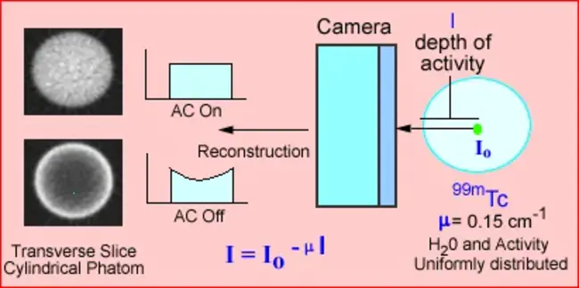 Attenuation Coefficient : 衰减系数