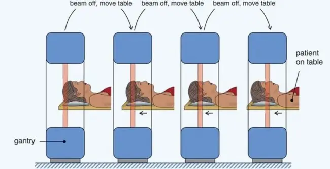 axiodistal : 轴端的