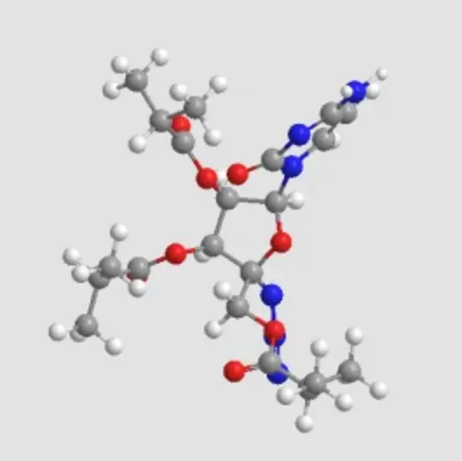 baculoviral IAP repeat : 杆状病毒IAP重复