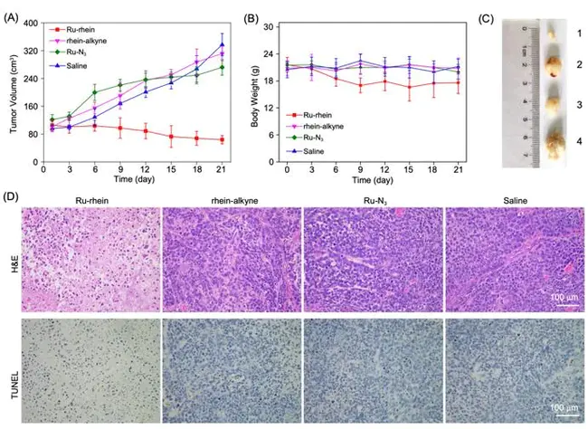 Bcl-2-related Ovarian Death gene (Bim) : bcl-2相关卵巢死亡基因（bim）