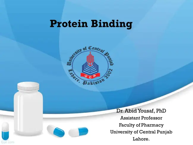 Binding Protein : 结合蛋白