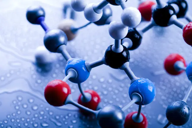 Biochemical Response : 生化反应