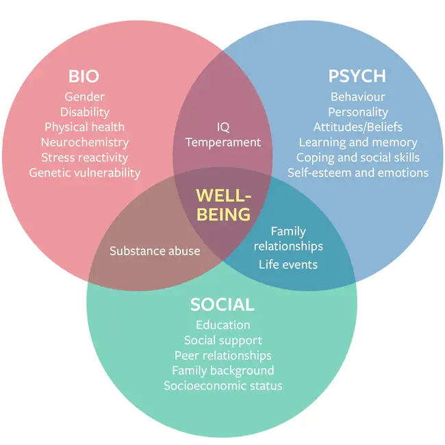 biopsychosocial : 生物心理社会学