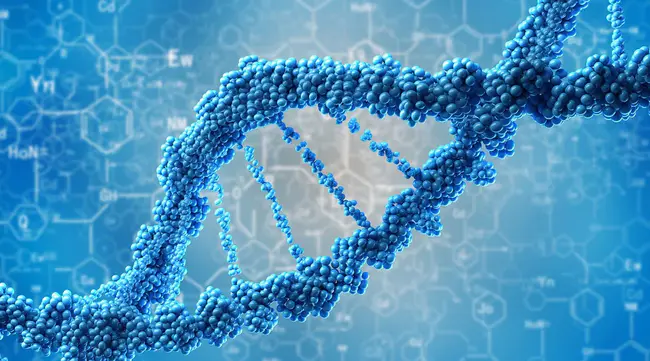 biotechnology : 生物技术