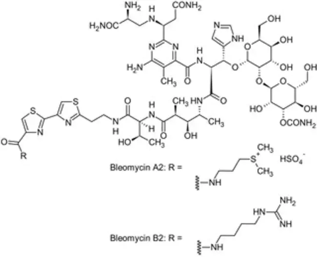 Bleomycin, Cyclophosphamide, Dactinomycin : 博来霉素、环磷酰胺、放线菌素