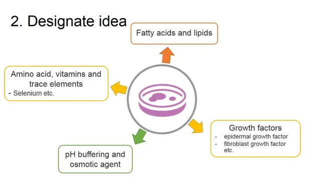 Bovine Amniotic Fluid : 牛羊水