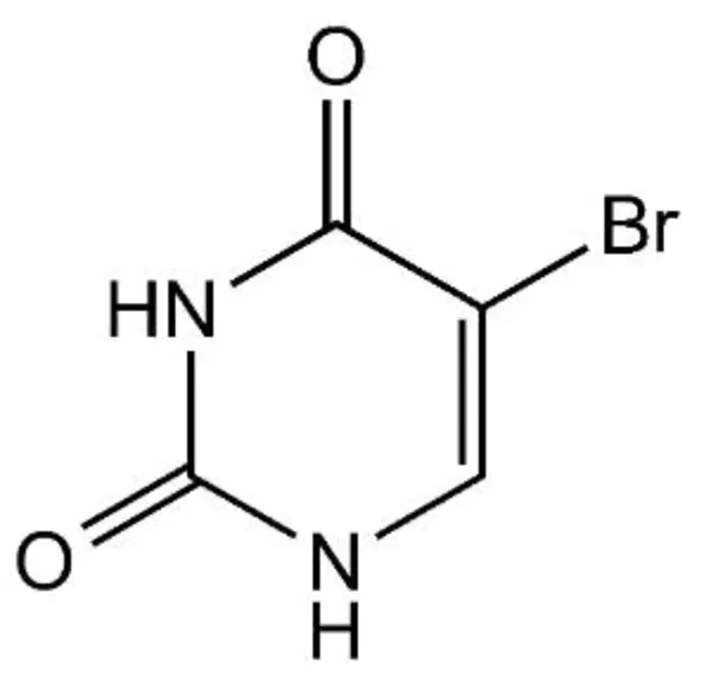 bromouracil : 溴尿嘧啶